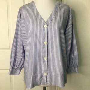 Everlane Women's V Neck 3/4 Sleeve Button Down Striped Blouse Top Shirt 0 Blue